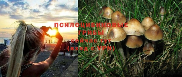 кокс Новодвинск