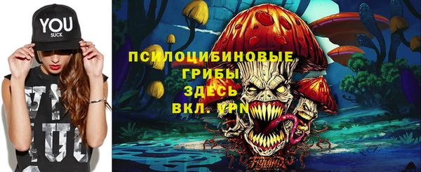 mdpv Новозыбков