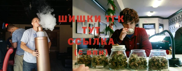 mdpv Новозыбков