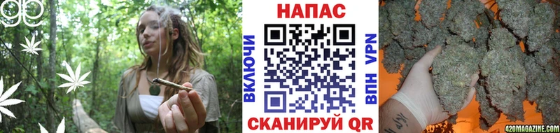 Бошки марихуана SATIVA & INDICA  Нахабино 